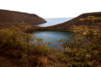 Galapagos Volcano Tagus Cove Isabella Island